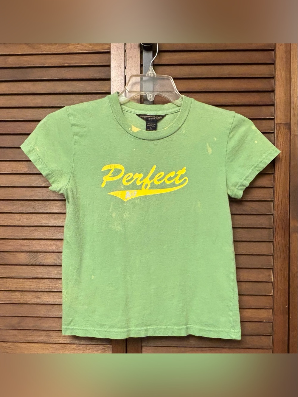 VINTAGE Y2K Abercrombie & Fitch Light Green Tee with Yellow Perfect•10 Graphics